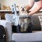 IRIS USA Small Pet Travel Carrier with Front and Top Access, Black/Gray